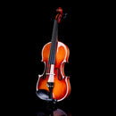 Rhythm Violin Set for Beginners,Acoustic Violins Starter Kit Package for Student,Beginners Fiddle with Hard Case, Rosin, Shoulder Rest, Bow, and Extra Strings (NATURAL, 1/2) by TinyTreasures Baby Boutique