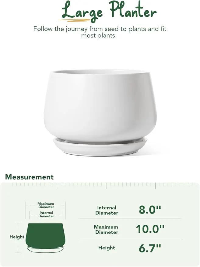 LE TAUCI Ceramic Planters, 10 Inch Pots for Plants, Indoor Plant Pots with Drainage Holes and Saucers, Modern Planters Fit Mid Century Plant Stand, Flower Pots for Indoor Plants, White, photo 5 of 6