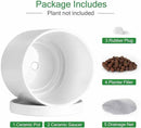 Aveyas 8 inch Ceramic Plant Pot with Drainage Hole and Saucer - Suitable for Indoor and Outdoor Use, Modern Planters for House Garden Flower Tree Snake Monstera Plants (8", Glossy White) by GreenHaven Gardens