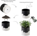 Nihow Ceramic Plant Pot: 6 Inch Planter with Drainage Hole & Saucer for Indoor & Outdoor Plants - Cylinder Round Flower Pot for Succulent/Herbs/Violets - Black & Wave White by CozyNest Decor