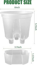 Cdd's Path 5-Pack 6 Inch Self Watering Pots Set with Holes for Indoor/Outdoor Plants,Planter Pot with Watering Hole/Reservior and Air Pipes,Clear by GreenHaven Gardens