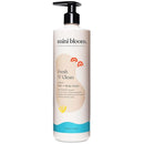 Fresh N’ Clean 2-in-1 Hair + Body Wash | Shampoo Sulfate-Free | Baby & Kid Safe | Gently Cleanses Head to Toe w/Aloe leaf, Chamomile extract, Lavender & Botanicals 16.6 oz by TinyTreasures Baby Boutique