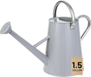 1.5 Gallon Watering Can for Outdoor Plants,Large Metal Plant Watering Pot with Removable Spout,Flower Garden Water Can Watering Pot,Galvanized Steel Watering Can with Stainless Steel Handles，Grey by GreenHaven Gardens