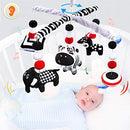 teytoy My First Baby Crib Mobile, Black and White Baby Mobile for Crib, High Contrast Mobile Toy for Newborn Infants Boys and Girls by TinyTreasures Baby Boutique