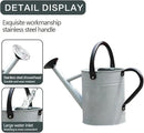 Metal Watering Can, One Gallon Watering Cans Stainless Steel for Outdoor Indoor Garden Plants Watering (Silver 1 Gallon) by GreenHaven Gardens