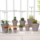Yishang 72 pcs Small Mini Grey Clay Pots, 2.5'' Terracotta Pot Clay Ceramic Pottery Planter,Cactus Flower Terra Cotta Pots,Succulents Nursery Pots,with Drainage Hole,Great for Crafts,Wedding Favor by GreenHaven Gardens