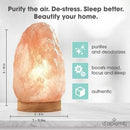 d'aplomb 100% Authentic Natural Himalayan Salt Lamp;Large Hand Carved Natural Chunk Pink Crystal Rock Salt from Himalayan Mountains; Dimmer Cord; 12 lbs by CozyNest Decor