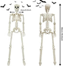 CAMIRUS 2PACK Plastic Posable Halloween Skeleton Decorations, 3FT Poseable Skeleton Full Body with Movable Joints for Halloween Indoor/Outdoor Haunted Houses, Lawn, Graveyard Decor by GreenHaven Gardens