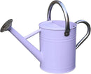 Metal Watering Can, One Gallon Watering Cans Stainless Steel for Outdoor Indoor Garden Plants Watering (Stainless Steel Handle Purple) by GreenHaven Gardens
