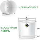 Aveyas 8 inch Ceramic Plant Pot with Drainage Hole and Saucer - Suitable for Indoor and Outdoor Use, Modern Planters for House Garden Flower Tree Snake Monstera Plants (8", Matte White) by GreenHaven Gardens