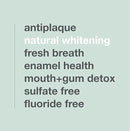 Davids Fluoride Free Toothpaste, Teeth Whitening, Antiplaque, SLS (Sulfate) Free, Promotes Enamel Health, Mouth & Gum Detox, EWG Verified, Peppermint, 5.25oz by CozyNest Decor