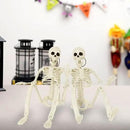 DINESIL 5 Packs Posable Halloween Skeleton, Full Body Halloween Skeleton with Movable Joints, 16" Hanging Spooky Skeletons for Halloween Haunted House Party Home Props Decorations by GreenHaven Gardens
