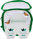 Clearwater Butterfly Live Painted Lady Butterflies - Butterfly Growing Kit with Live Caterpillars - Mesh Cage Included - Butterfly Habitat - 10 Live Caterpillars to Butterflies - Live Butterfly Kit by TinyTreasures Baby Boutique