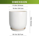 Plant Pot 12 inch - Ceramic Pot for Plants Indoor Outdoor Large Planter Pot with Drainage Hole and Saucer Mid-Century Modern Flower Pot Cylinder White by GreenHaven Gardens