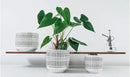 Docrin Plant Pots Ceramic: 6.5+5.3+4 Inch Flower Pots with Drainage Holes for Home/Office - Set of 3/White and Black by GreenHaven Gardens