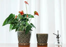 Docrin Ceramic Plant Pots Indoor, 6.6 + 5.5 Inch Planters with Drainage Holes and Saucer for Home/Office - Set of 2 /Dark Green by GreenHaven Gardens