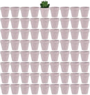 Yishang 72 pcs Small Mini Pink Clay Pots, 2.5'' Terracotta Pot Clay Ceramic Pottery Planter,Cactus Flower Terra Cotta Pots,Succulents Nursery Pots,with Drainage Hole,Great for Crafts,Wedding Favor by GreenHaven Gardens
