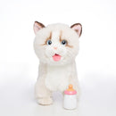 CU-MATE Interactive Pet Ragdoll Cat,Electric Plush Toy Cat,Robot Stuffed Cat with Walking/Nodding/Tail Wagging/Barking/Drinking Milk, Gift for Girls Boys by TinyTreasures Baby Boutique
