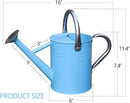 Metal Watering Can, One Gallon Watering Cans Stainless Steel for Outdoor Indoor Garden Plants Watering (Stainless Steel Handle Blue) by GreenHaven Gardens