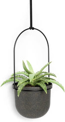 Umbra Triflora Hanging Planter for Window, Indoor Herb Garden, Set of 5, Black by GreenHaven Gardens
