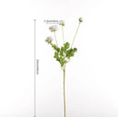 Silk Ranunculus Flowers 23.6 Inch Tall-5 Stems Artificial Buttercup Flowers for Wedding Bouquets, Centerpieces,Home Decor,Floral Arrangements (White,UV Resistant) by CozyNest Decor
