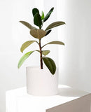 LaDoVita Ceramic Plant Pot with Stand, 10 Inch Planter with Wood Shelf, Modern Round Flower Pots Indoor with Wood Planter Holder, White Water Ripple Pattern by GreenHaven Gardens