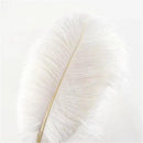 THARAHT 12pcs White Ostrich Feathers Natural Bulk 20-22Inch 50cm-55cm for Wedding Party Centerpieces Easter Gatsby and Home Decorate Ostrich Feathers by CozyNest Decor