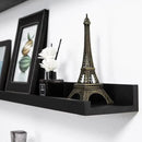 Black Floating Shelves for Wall 24 Inch Wall Shelves with Lip Modern Picture Ledge Shelf Wall Mount Photo Shelves Room Decor Hanging Book Shelves Set of 2 for Bedroom Living Room Bathroom Kitchen by CozyNest Decor