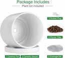 Aveyas 8 inch Ceramic Plant Pot with Drainage Hole and Saucer - Suitable for Indoor and Outdoor Use, Modern Planters for House Garden Flower Tree Snake Monstera Plants (8", Matte White) by GreenHaven Gardens