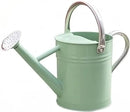 Metal Watering Can, One Gallon Watering Cans Stainless Steel for Outdoor Indoor Garden Plants Watering (Cream Green) by GreenHaven Gardens
