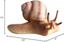 7 Pcs Snail Figurine Miniature Snail Model Realistic Animal Figurines Fairy Garden Micro Landscape Decor by GreenHaven Gardens