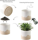 Nihow Ceramic Plant Pot: 6 Inch Planter with Drainage Hole & Saucer for Indoor & Outdoor Plants - Cylinder Round Flower Pot for Succulent/Herbs/Violets - White & Nature by GreenHaven Gardens
