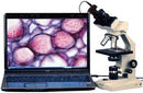 AmScope B100-3M Digital Compound Binocular Microscope, 40X-1000X Magnification, Brightfield, Tungsten Illumination, Abbe Condenser, Plain Stage, Includes 3MP Camera with Reduction Lens and Software by TinyTreasures Baby Boutique