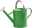 Metal Watering Can, One Gallon Watering Cans Stainless Steel for Outdoor Indoor Garden Plants Watering (Stainless Steel Handle Green) by GreenHaven Gardens