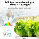 Ahopegarden Indoor Garden Hydroponics Growing System: 12 Pods Plant Germination Kit Herb Garden Kit Growth Lamp Countertop with LED Grow Light Hydrophonic Planter Grower Harvest Vegetable Lettuce by GreenHaven Gardens
