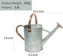 Metal Watering Can, One Gallon Watering Cans Stainless Steel for Outdoor Indoor Garden Plants Watering (Zinc 1 Gallon) by GreenHaven Gardens