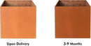 Corten Steel Planter Box Metal Planters Square Outdoor Steel Planter Cube Rustic Flower Pot 16 Inch Integral Durable Antique for Commercial Residential Garden Patio Deck and Backyard by GreenHaven Gardens