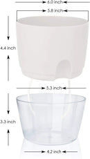 Vanavazon 6 Inch Self Watering Planter Pots for Indoor Plants, 3 Pack African Violet Pots with Wick Rope-White by CozyNest Decor