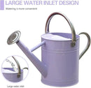 Metal Watering Can, One Gallon Watering Cans Stainless Steel for Outdoor Indoor Garden Plants Watering (Stainless Steel Handle Purple) by GreenHaven Gardens