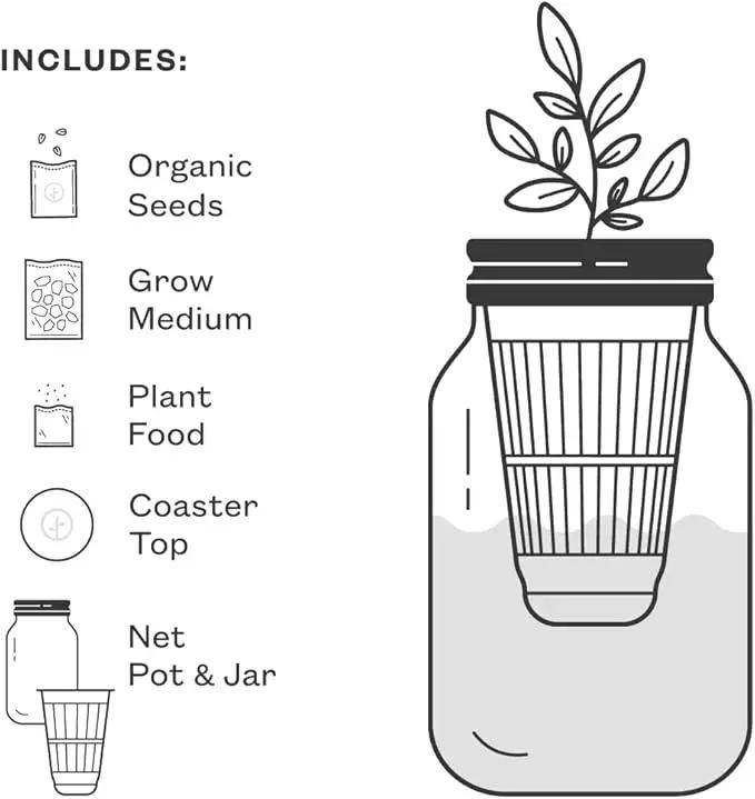 Modern Sprout Mason Garden Jar - Self-Watering Hydroponics Growing System Kit with Organic Herb Seeds - Jar Planter for Indoor Herb Garden - Seed Starter Kit - Home Decor & Gifting - Basil+Parsley, photo 4 of 5