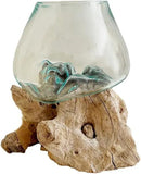 Hand Blown Molten Glass & Teak Wood Terrarium/Vase/Fish Bowl - Premium Quality (7" - 9" High) by CozyNest Decor