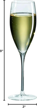 Ravenscroft Crystal Champagne Glass, Set of 4 by CozyNest Decor