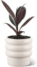 Bubble Ceramic Plant Pots with Drainage Holes and Saucers,6 inch Medium Flower Pots Modern Decor Planter for Indoor Plants(White) by GreenHaven Gardens