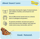 Insect Lore Two Cups of Live Caterpillars - 10 Live Painted Lady Caterpillars with Food - Includes Bonus Butterfly Life Cycle Figurines - Refill for Butterfly Garden Habitat by TinyTreasures Baby Boutique