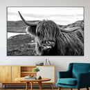 Longhorn Steer Canvas Print Wall Art, Highland Cow Canvas by MyGreatCanvas | Canvas Wall Art Prints | Photo Prints & Wall Decor
