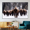 Bison Wall Art Canvas Print- Bison Herd Canvas Wall Art – by MyGreatCanvas | Canvas Wall Art Prints | Photo Prints & Wall Decor