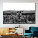 Black and White Highland Cow Canvas Wall Art, Longhorn by MyGreatCanvas | Canvas Wall Art Prints | Photo Prints & Wall Decor