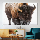 Bison Wall Art Canvas Print For Farmhouse, Wild Animal Wall by MyGreatCanvas | Canvas Wall Art Prints | Photo Prints & Wall Decor