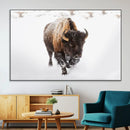 Bison Winter Wall Art Canvas Print For Farmhouse Decor