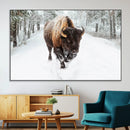 Bison Wall Art Canvas Print For Farmhouse, Animal Canvas